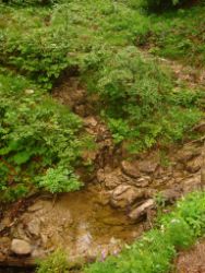 2013-06-22_Hirschhoerndl_Jochberg (311).JPG